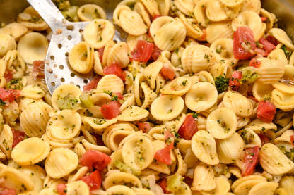 Italijanska pasta. Tjestenina Italijanska pasta. Tjestenina servirana u restoranu, krupni plan.