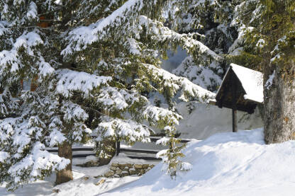 Planina Vlašić Planina Vlašić po snijegom.
