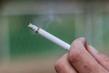 Cigareta Konzumiranje cigarete