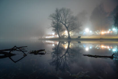 Drveće u magli Noćna fotografija uz rijeku Unu sa drvećem u magli.