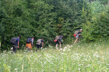 Grupa migranata i izbjeglica u BiH Grupa migranata i izbjeglica u BiH. Migranti na putu prema EU. Migracije.