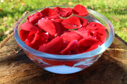 Ružine latice u vodi