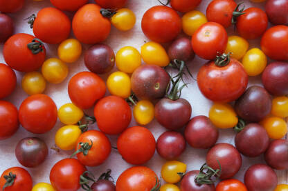 Sorte malog sherry paradajza.