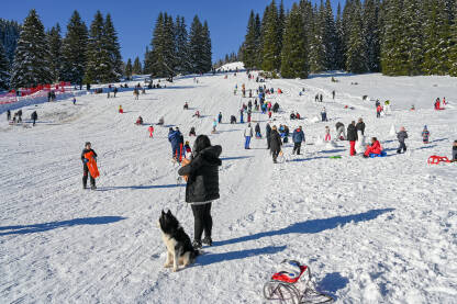 Skijanje na planini Bjelašnica, Bosna i Hercegovina: Mnoštvo ljudi se zabavlja na planini. Grupa turista na planini. Skijanje i sanjkanje zimi. Zimski praznici. Odmor i rekreacija.