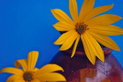 Žuti cvijet, u vazi od drveta, na plavoj pozadini.