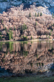 Trnovačko Jezero na planini Maglić.