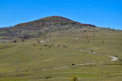Planina Manjača Planina Manjača pored Banjaluke, Bosna i Hercegovina. Vijugavi planinski put i rijetka šuma.