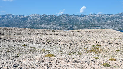 AK1_1076 Priroda na otoku Pagu, Hrvatska. Otok Pag, Jadransko more i planina Velebit u pozadini.
