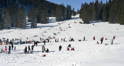 Mnogo ljudi se zabavlja na planini. Mnogo ljudi se zabavlja na planini. Grupa turista šeta, skija i sanjka se zimi. Ljudi uživaju u snijegu na planini Igman.