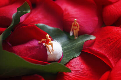 Tampon u crvenoj ruži sa figuricama žena.