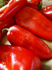 Roga paprika Roga paprika za ajvar.