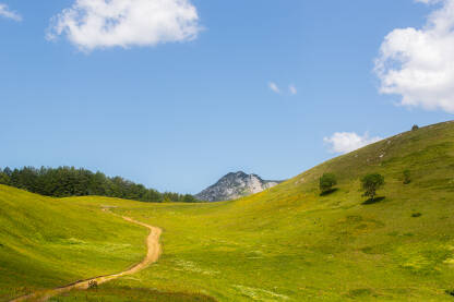 Zelengora, nacionalni park Sutjeska Zelengora je planina u sjeveroistočnoj Hercegovini, BiH, koja se nalazi u sklopu Nacionalnog parka Sutjeska.
