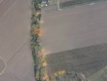 DJI_0607.JPG Jesen u okolini Šamca, snimak obrađenog poljoprivrednog zemljišta i opalo lišće sa stabala koje sa rasulo po oranici. Novembar 2021. godine.