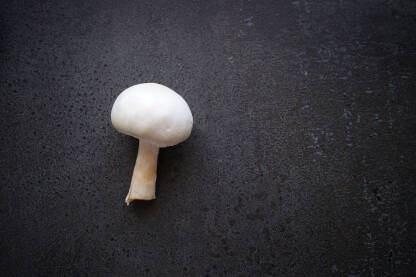 Šampinjoni Gljive Šampinjoni iz domćeg uzgoja Agaricus bisporus.