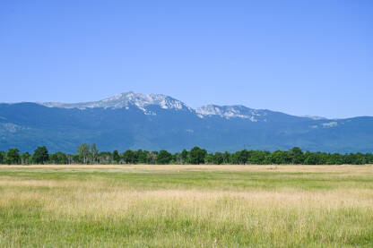 Livanjsko polje, Bosna i Hercegovina Livanjsko polje, Bosna i Hercegovina. Planina Troglav. Polje ljeti.