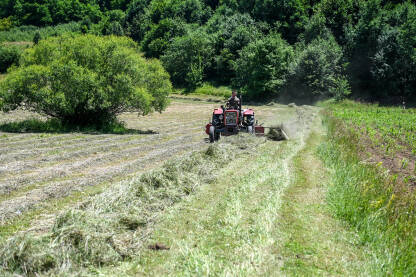 Čovjek na traktoru skuplja sijeno. Poljoprivrednik skuplja sijeno u polju. Prikupljanje sijena na livadi.