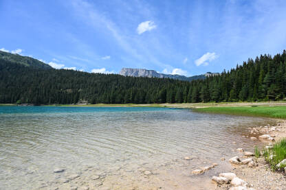 Prelijepo prirodno jezero okruženo šumom. Crno jezero, Durmitor Prelijepo prirodno jezero okruženo šumom. Crno jezero na planini Durmitor, Crna Gora.