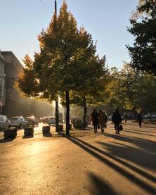 Sjene Sjene na ulici grada u vrijeme zalaska Sunca