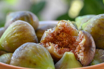 Zdjela puna svježih smokvi. Zrele smokve spremne za jelo. Domaće sočne smokve.