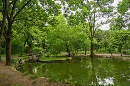 Zelena oaza unutar grada. Park sa malim jezerom. Urbano zelenilo.