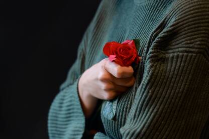 Žena drži crvenu ružu za žrtve nasilja. 

Fotografija besplatna za ilustrovanje medijskih sadržaja o nasilju, svako drugo korištenje je zabranjeno.

Autorka: Svjetlana Panić