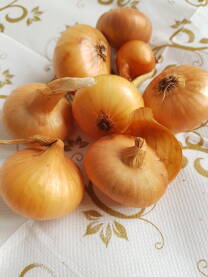 Crveni luk Crveni luk (lat. Allium cepa) sastavni dio ljudske ishrane vijekovima, bogat antioksidansima, vitaminima i mineralima, čest sastojak salata i drugih jela.