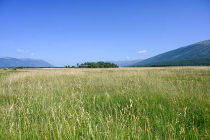 Livanjsko polje, Livno, Bosna i Hercegovina. Livanjsko polje, Livno, Bosna i Hercegovina. Kraško polje ljeti.