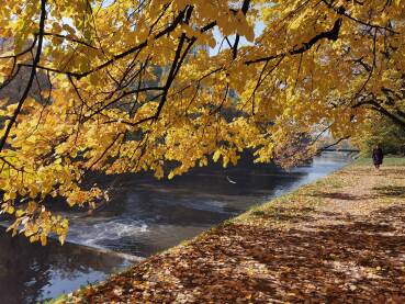 Jesen Wilsonovo šetalište