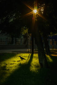 Jutro u Tuzli Tuzlanski gradski park
