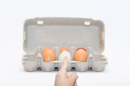 Ilustracija šest jaja, od kojih je jedno različito, dok prst pokazuje upravo na to jaje.Vizualni prikaz društvenog pritiska, predrasuda i snage individualnosti.