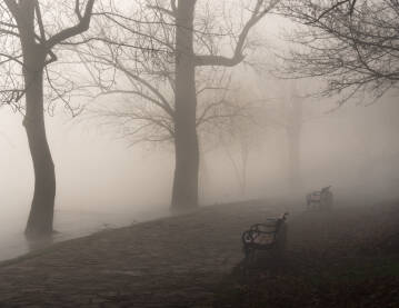Gradski park u magli