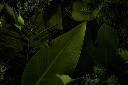 Svježi zeleni list s balonom od sapunice.