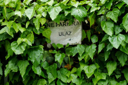 Ne parkirajm, zabranjeno parkiranje Ulaz obrastao bršljanom sa natpisom ne parkiraj.