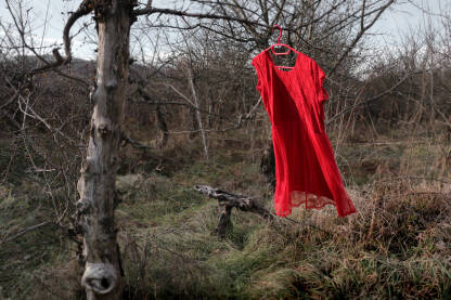 Ubistvo žene. Nasilje u porodici. Crvena odjeća. 

Fotografija besplatna za ilustrovanje medijskih sadržaja o nasilju, svako drugo korištenje je zabranjeno.

Autorka: Svjetlana Panić