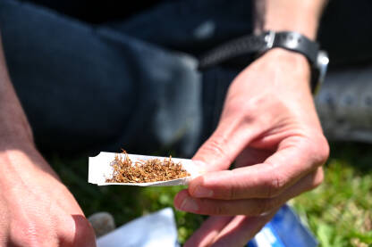 Cigarete Cigarete. Motanje duhana. Čovjek prstima umotava duhan u papir, krupni plan. Pušenje i ovisnost.