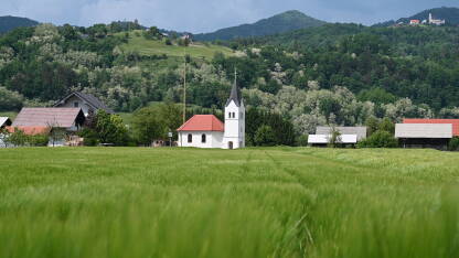 Krajolik Prekrasan krajolik sela sa crkvom i zelenim poljem u proljeće. Žitarice uzgajane u polju.
