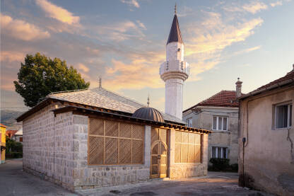 Careva džamija u Trebinju, poznata i pod nazivom Sultan Ahmedova, Hungarija i Stara džamija, sagrađena je 1719. godine u Starom gradu, blizu desne obale rijeke Trebišnjice.