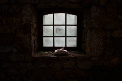 Vjenčano prstenje na jastuku, na prozoru nacrtano srce