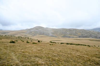 Planinska visoravan. Planina Bistra, Mavrovo, Sjeverna Makedonija. Planinska visoravan u jesen. Oblaci i magla iznad planine. Planina Bistra, Mavrovo, Sjeverna Makedonija.