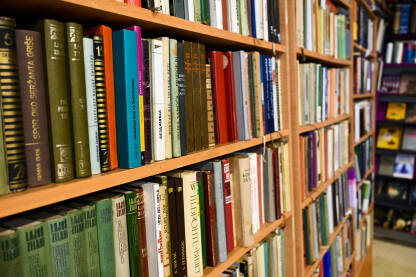 AK1_2941 Zbirka knjiga na policama u biblioteci. Mnogo knjiga na polici.