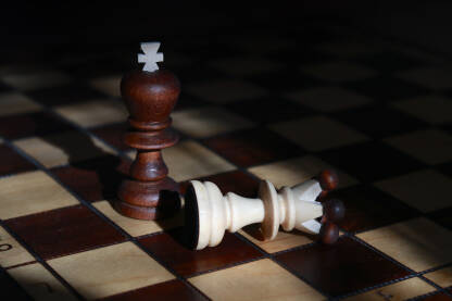 Rodno zasnovano nasilje. Nasilje u porodici. Figure u šahu. 

Fotografija besplatna za ilustrovanje medijskih sadržaja o nasilju, svako drugo korištenje je zabranjeno.

Autorka: Svjetlana Panić