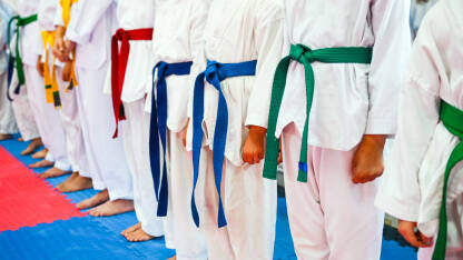 Tae kwon do pojasevi Tae kwon do pojasevi. Borilački sport. Trening mladih sportaša.