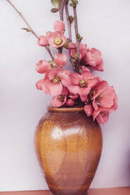 Cvijeće japanske dunje u vazi