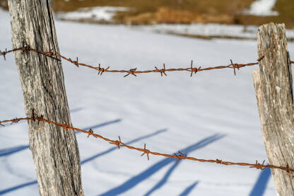 Bodljikava žica. Ograda. Bodljikava žica sa snijegom u pozadini. Zahrđala metalna žičana ograda.