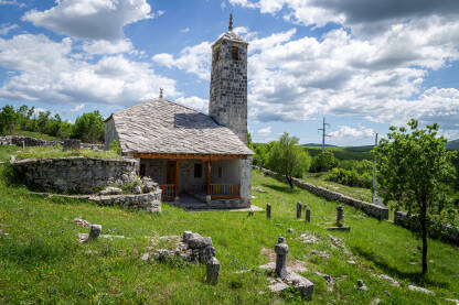 Avdića džamija u Planoj Avdića džamija, je džamija na Planoj u Opštini Bileća. Izgrađena je 1617. godine što je bilo vidljivo iz natpisa uklesanog na kamenom luku džamijskih vrata. Proglašena je nacionalnim spomenikom BiH