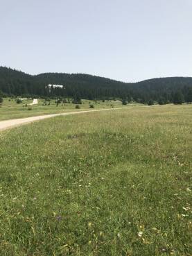 291E0A84-6638-4411-AB7A-CF7A7A22DA2A.jpeg Planina Igman.Uzivanje u cistom zraku.Odmor i opustanje.