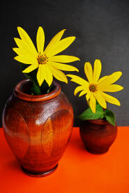 Dvije vaze sa dva cvijeta na narančastoj podlozi i crnoj pozadini.