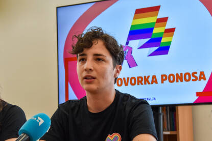 Dina Bajrektarević Dina Bajrektarević, članica Organizacionog odbora Bh. povorke ponosa i direktorica Tuzlanskog otvorenog centra.