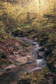 Prirodna bogatstva na planini Plješevici kod Bihaća.