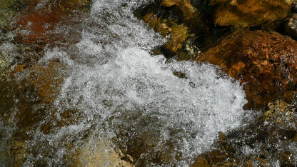 Čista i bistra planinska voda. Čista i bistra planinska voda. Rijeka Bjelava, Foča, BiH.